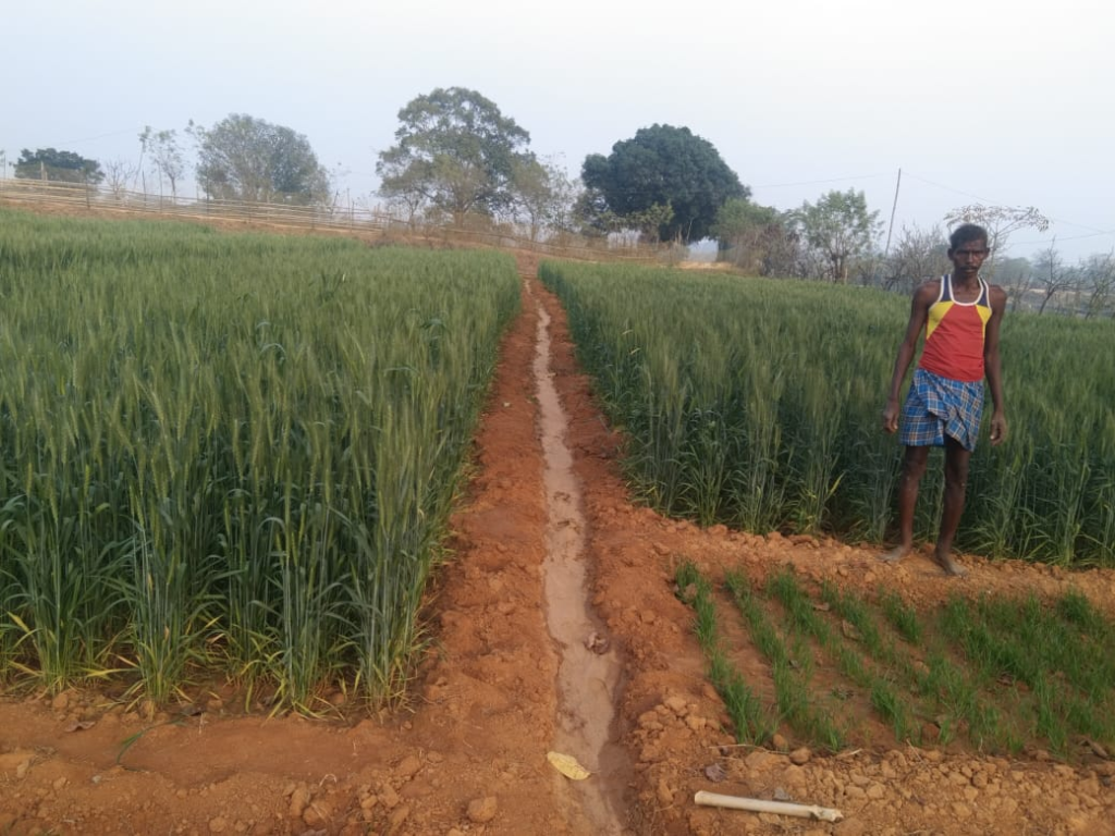 तकनीकी मार्गदर्शन देकर कृषकों को दिया जा रहा विभागीय योजनाओं का लाभ 2 image 10