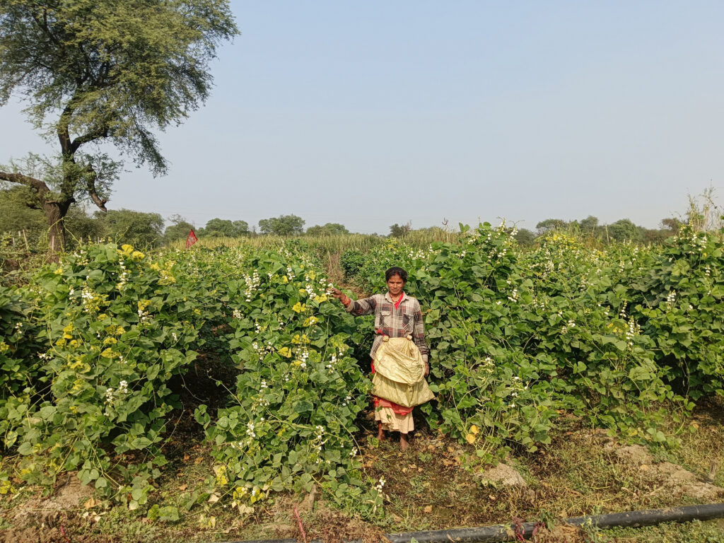 चारागाह बना ग्रामीण महिलाओं के लिए स्वरोजगार का केंद्र 2 04