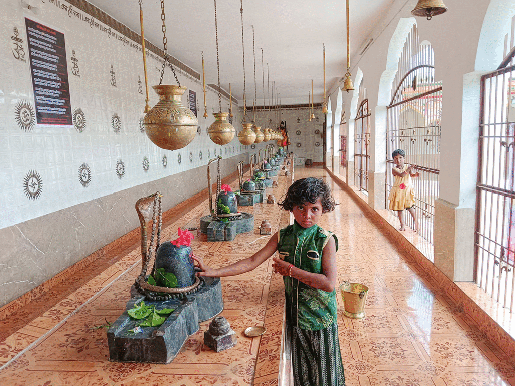 श्रावण में शिवभक्ति का महापर्व: मेडेसरा में द्वादश ज्योतिर्लिंग 2 06